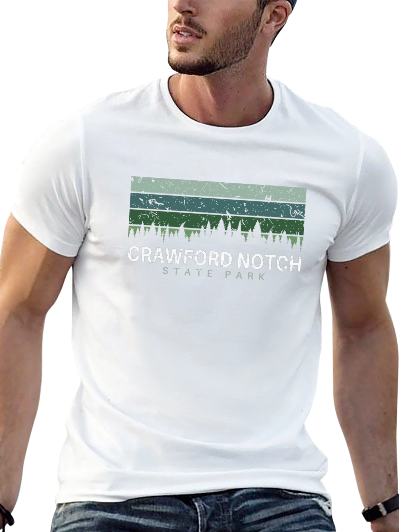 Crawford Notch State Park Black Graphic Tee