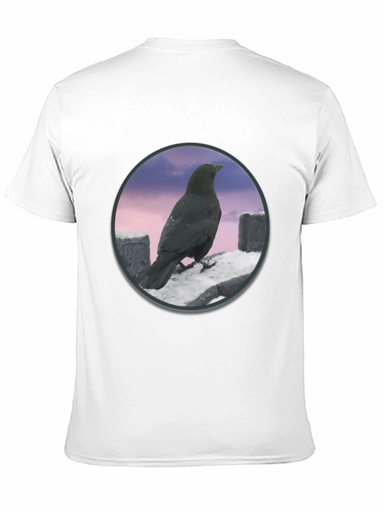 Raven on The Wall T-Shirt
