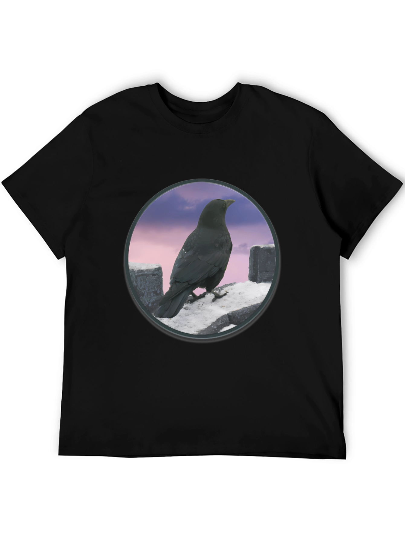 Raven on The Wall T-Shirt