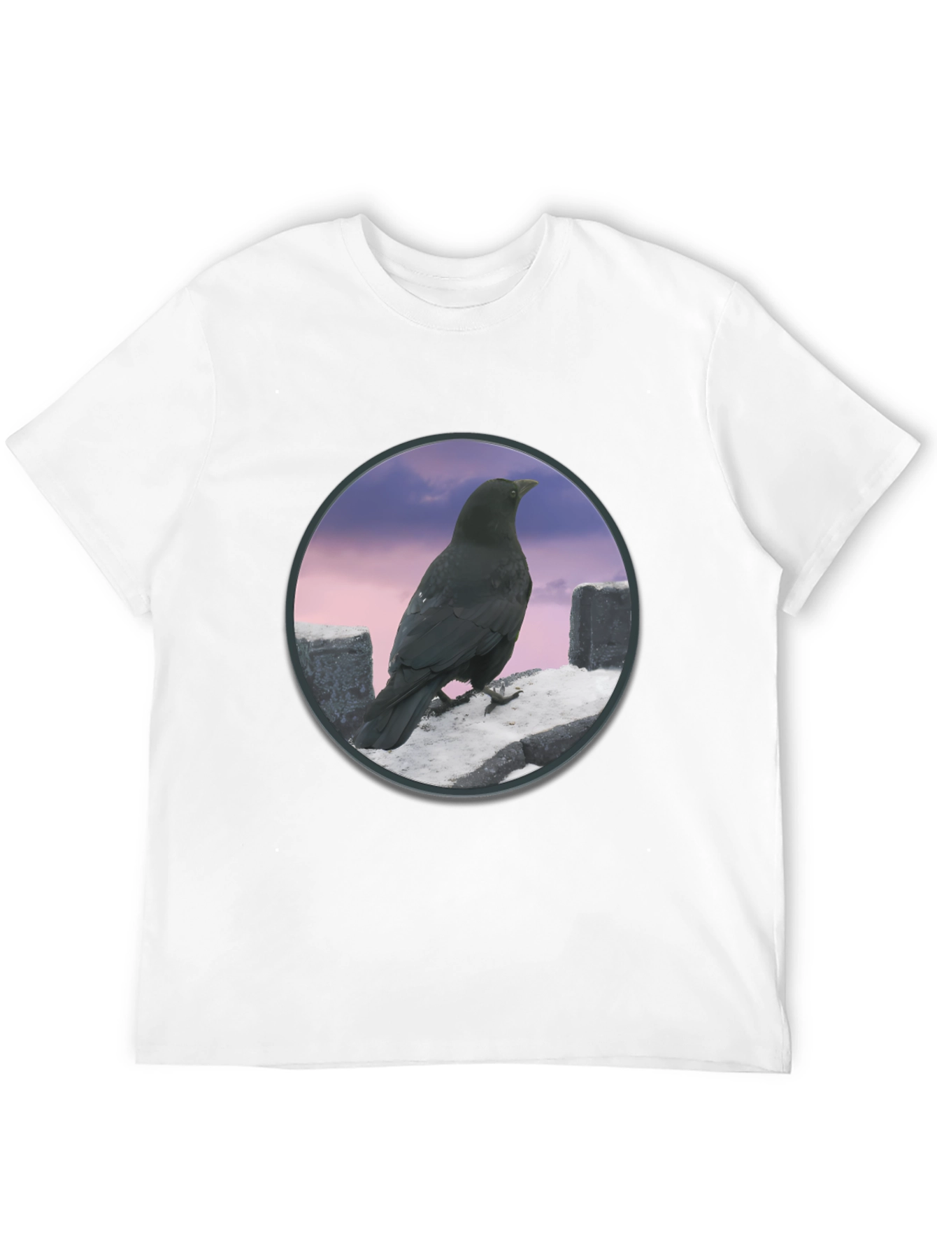 Raven on The Wall T-Shirt