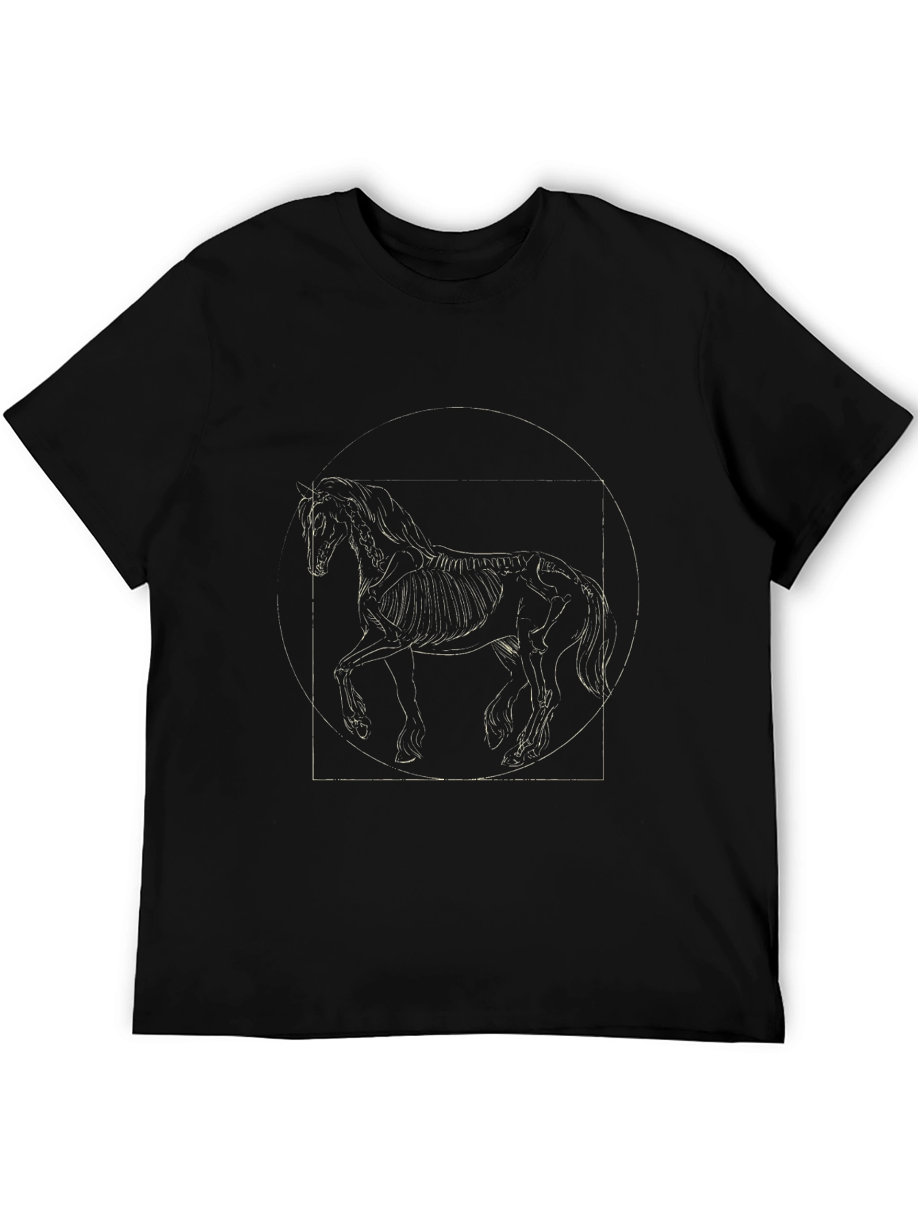 Equestrian Anatomy Graphic Tee