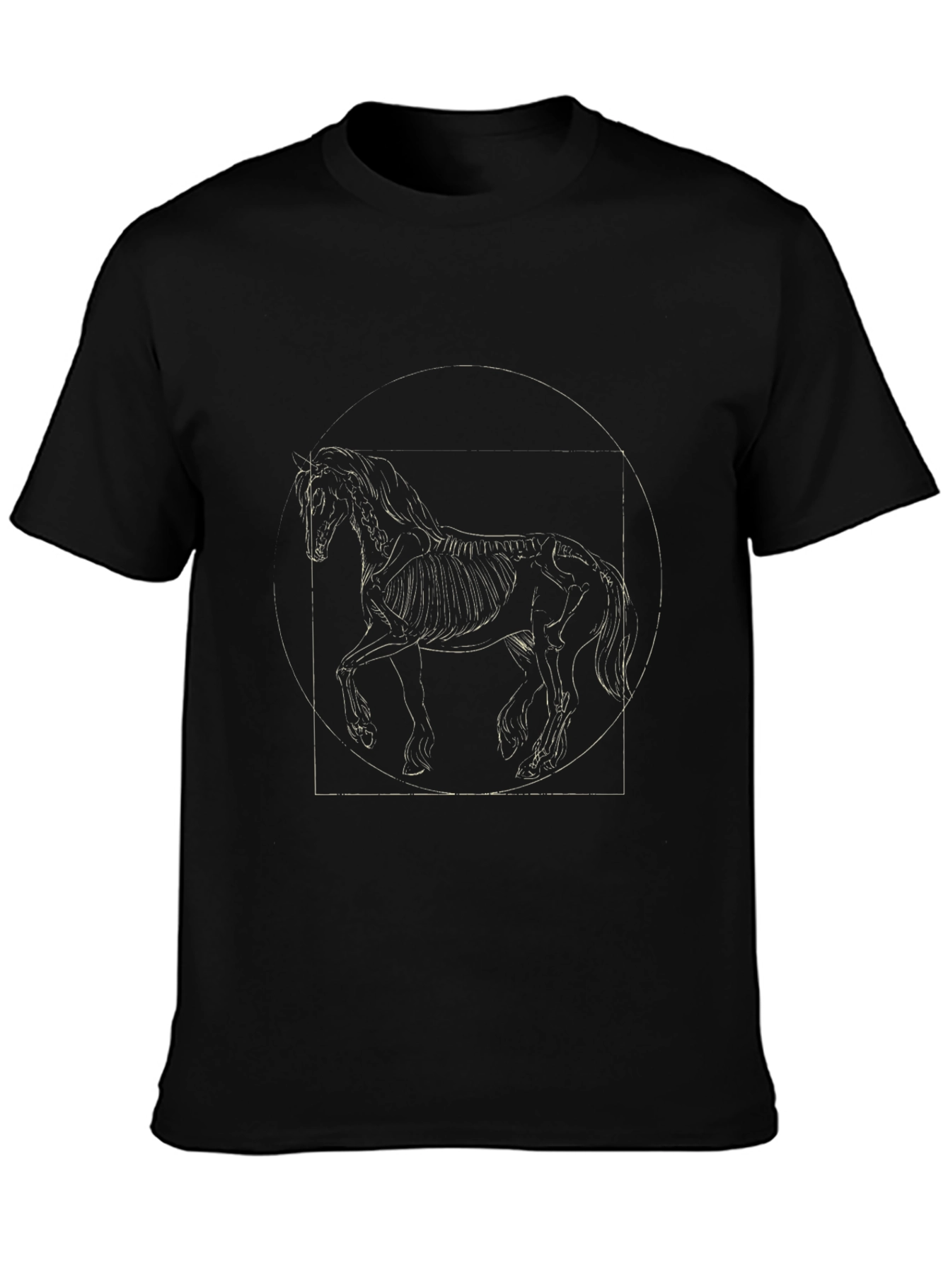Equestrian Anatomy Graphic Tee