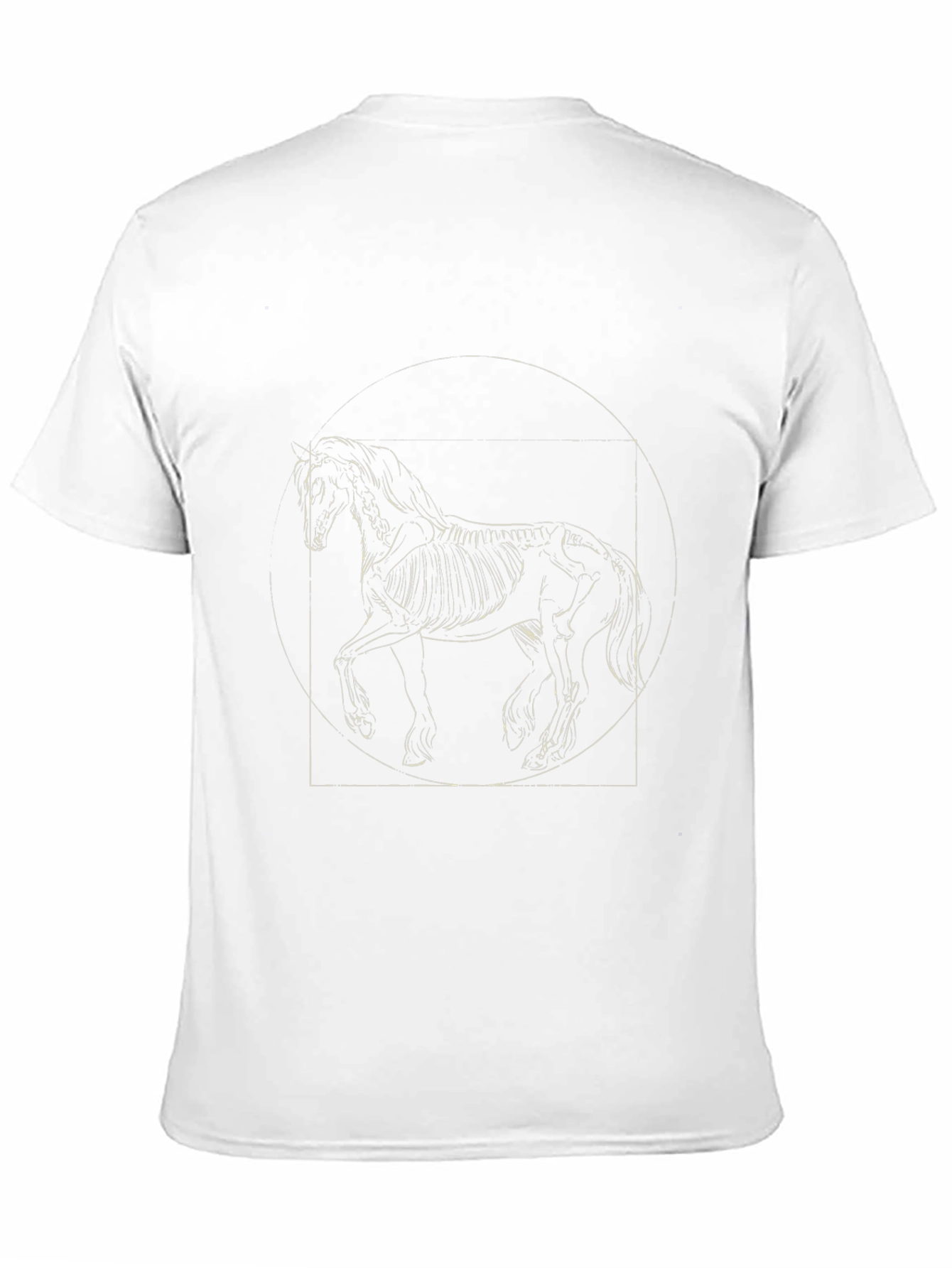 Equestrian Anatomy Graphic Tee