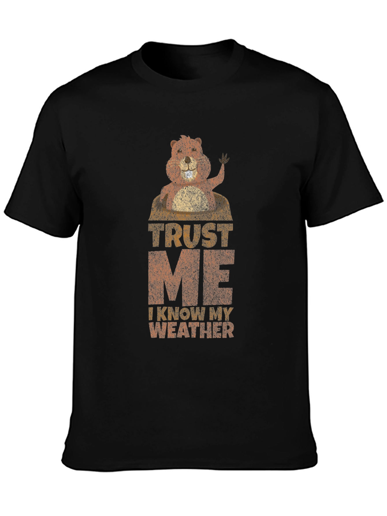 Trust Me I Know My Weather Graphic T-Shirt