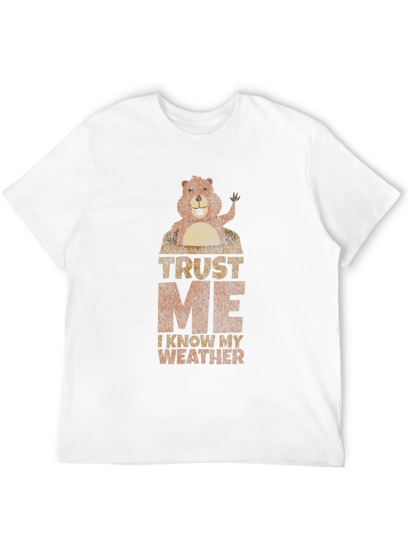 Trust Me I Know My Weather Graphic T-Shirt