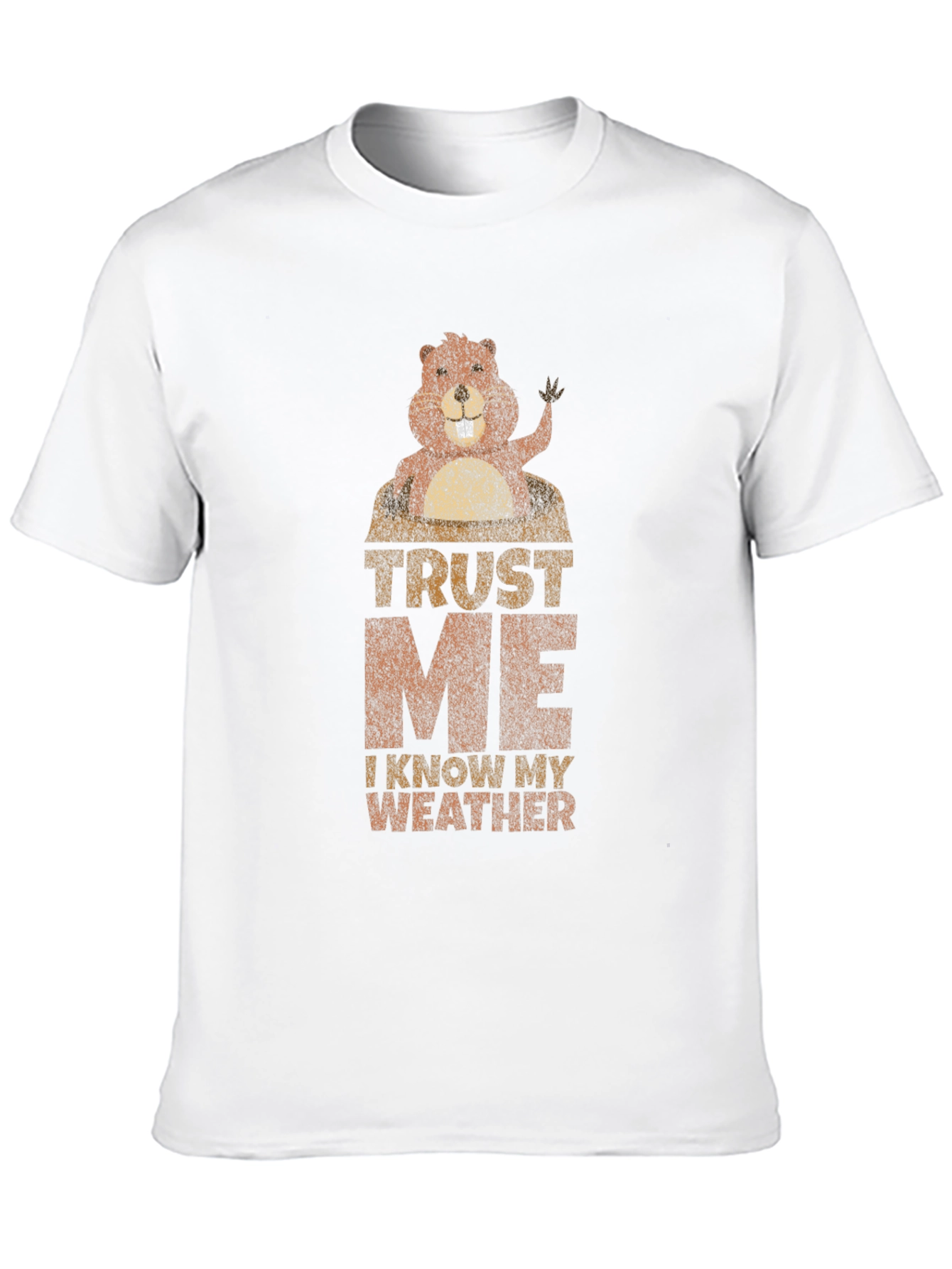 Trust Me I Know My Weather Graphic T-Shirt