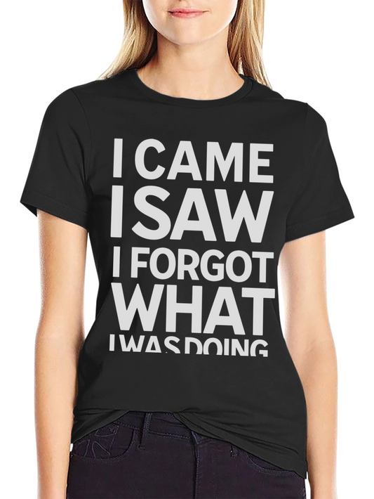Funny Sarcastic T-Shirt: I Came I Saw I Forgot