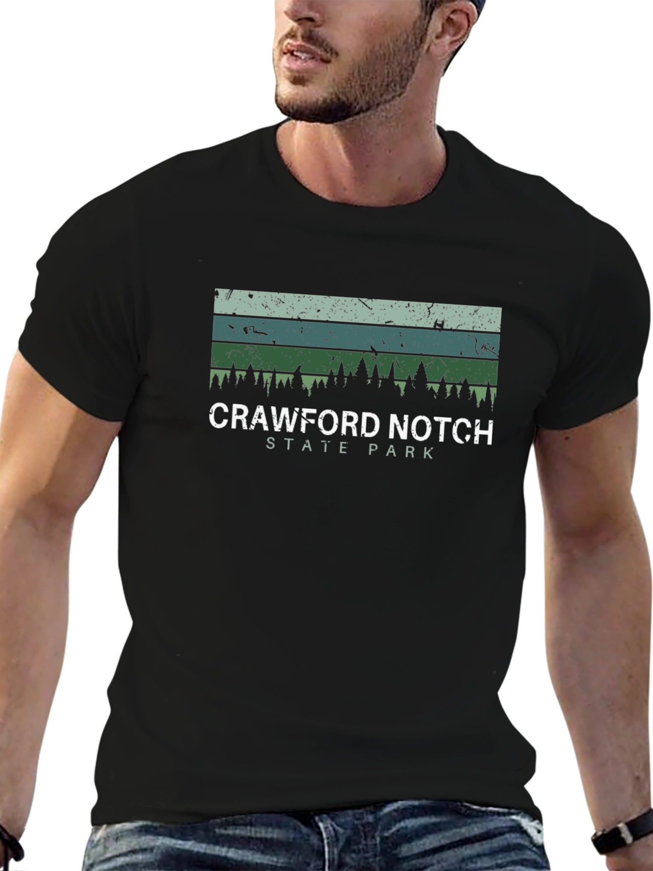 Crawford Notch State Park Black Graphic Tee