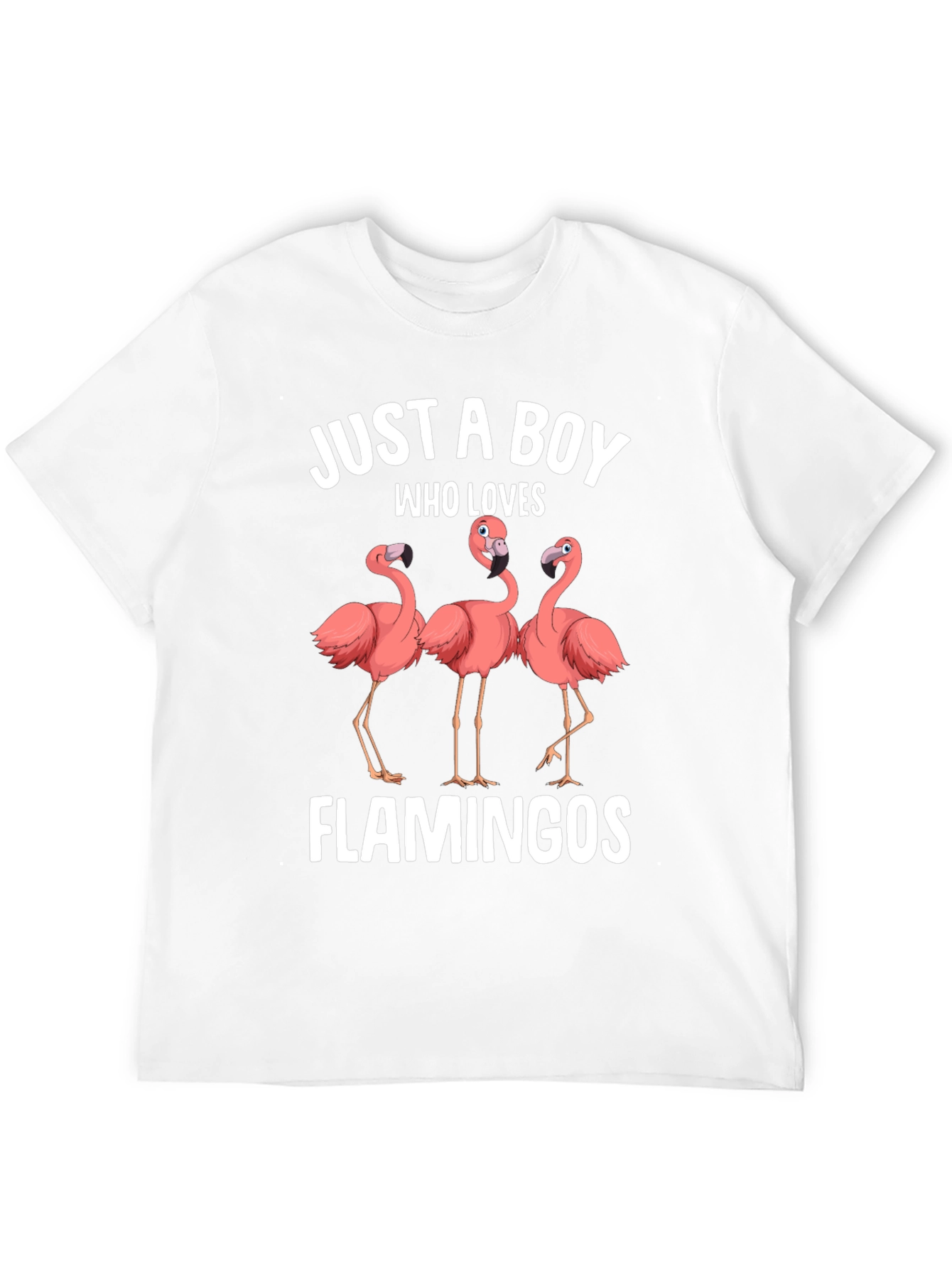 Boy Who Loves Flamingos Graphic T-Shirt