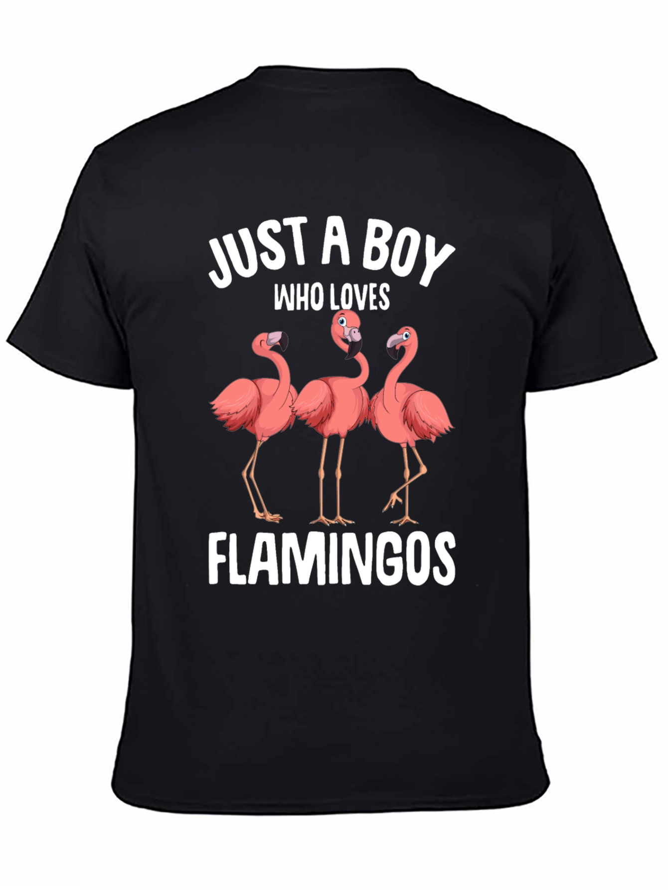 Boy Who Loves Flamingos Graphic T-Shirt
