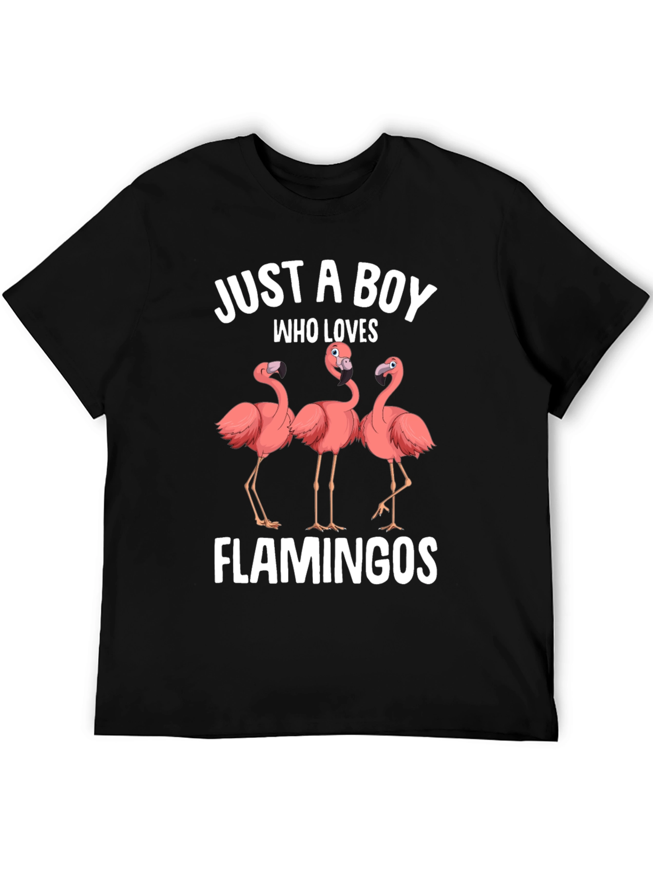 Boy Who Loves Flamingos Graphic T-Shirt