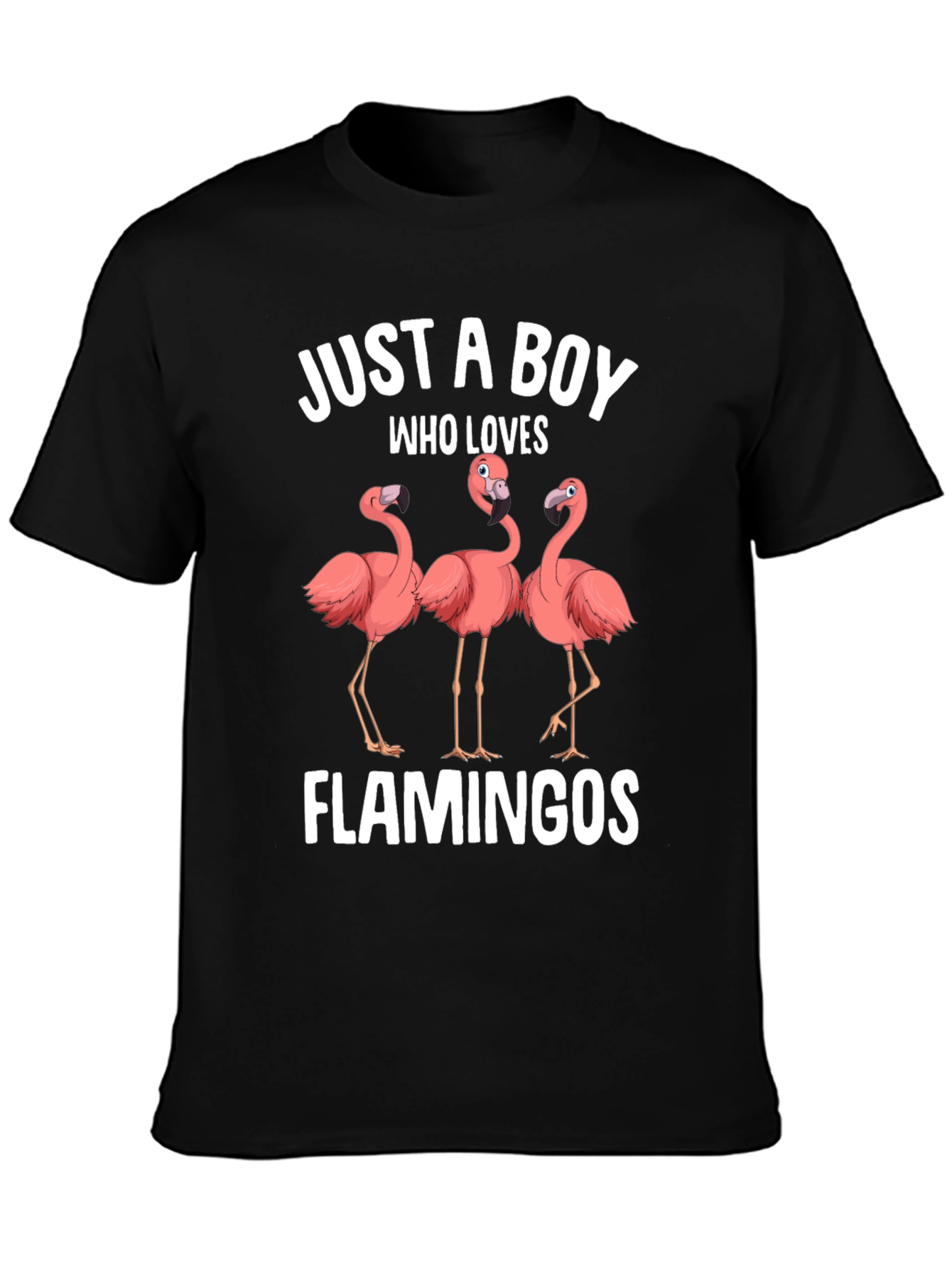 Boy Who Loves Flamingos Graphic T-Shirt