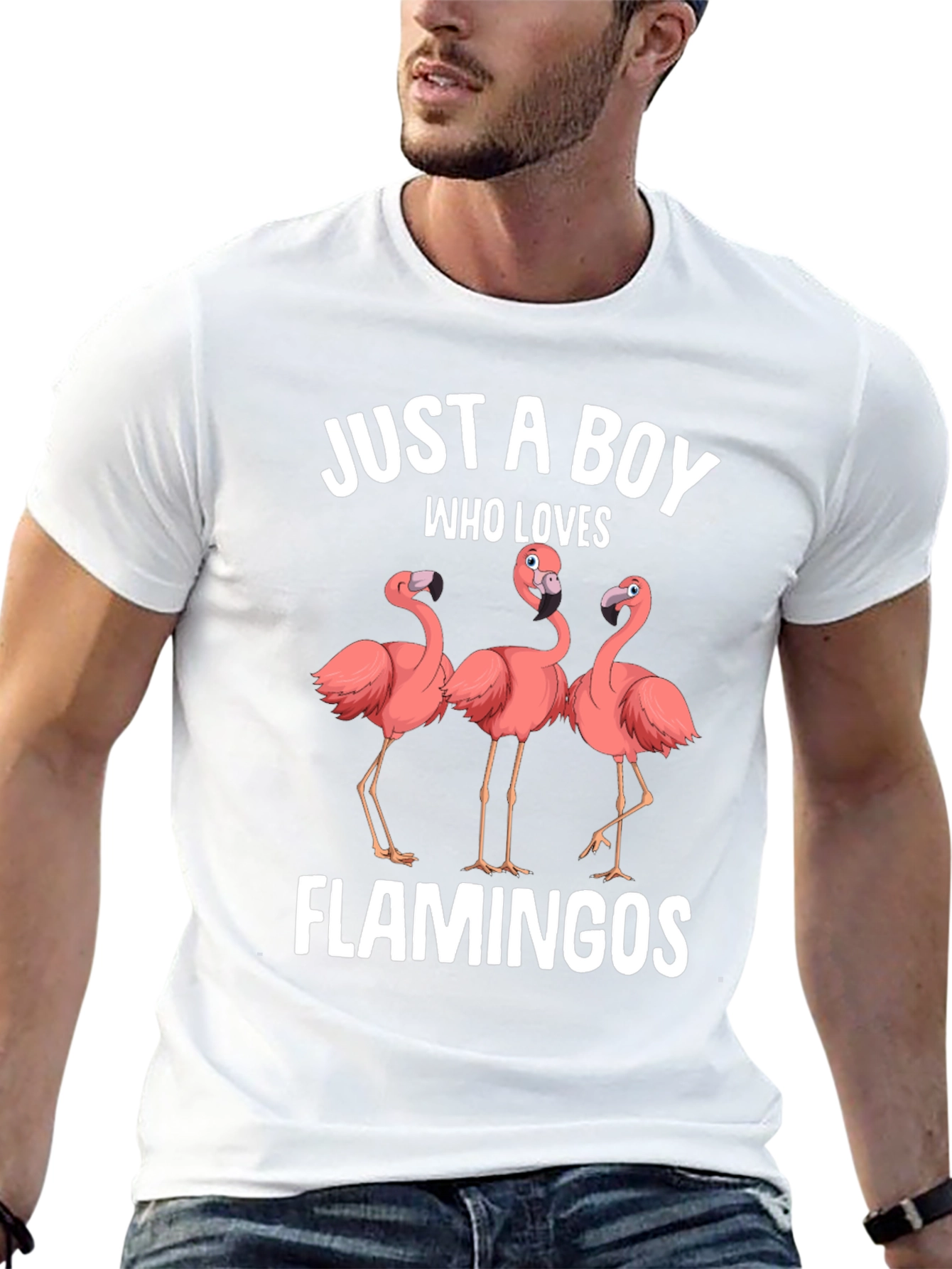 Boy Who Loves Flamingos Graphic T-Shirt