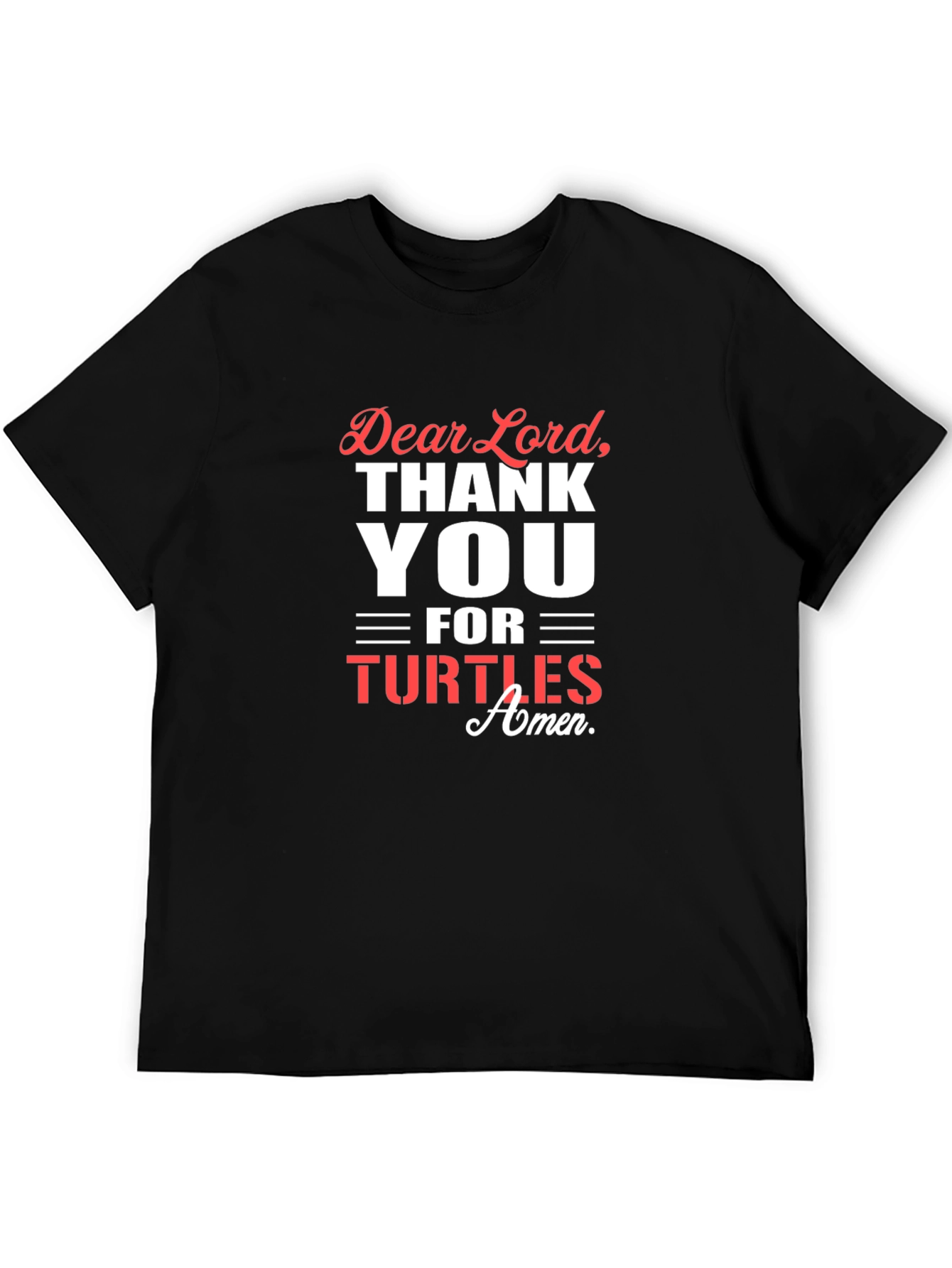 Dear Lord Thank You Turtles Graphic T-Shirt