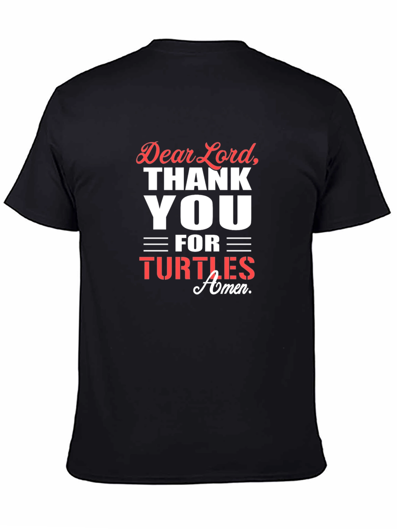 Dear Lord Thank You Turtles Graphic T-Shirt