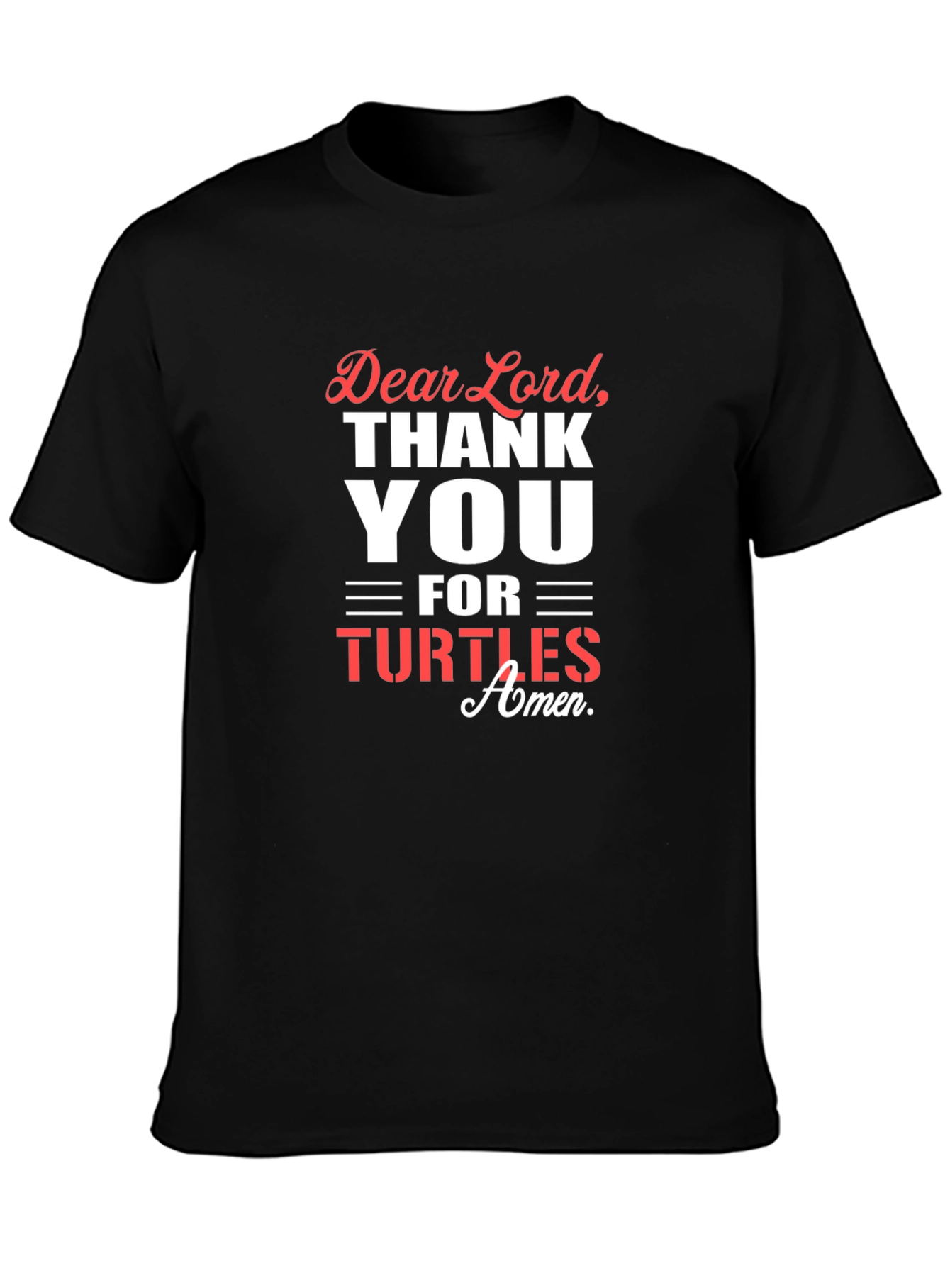 Dear Lord Thank You Turtles Graphic T-Shirt