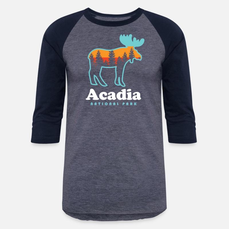 Acadia - Moose Acadia National Park