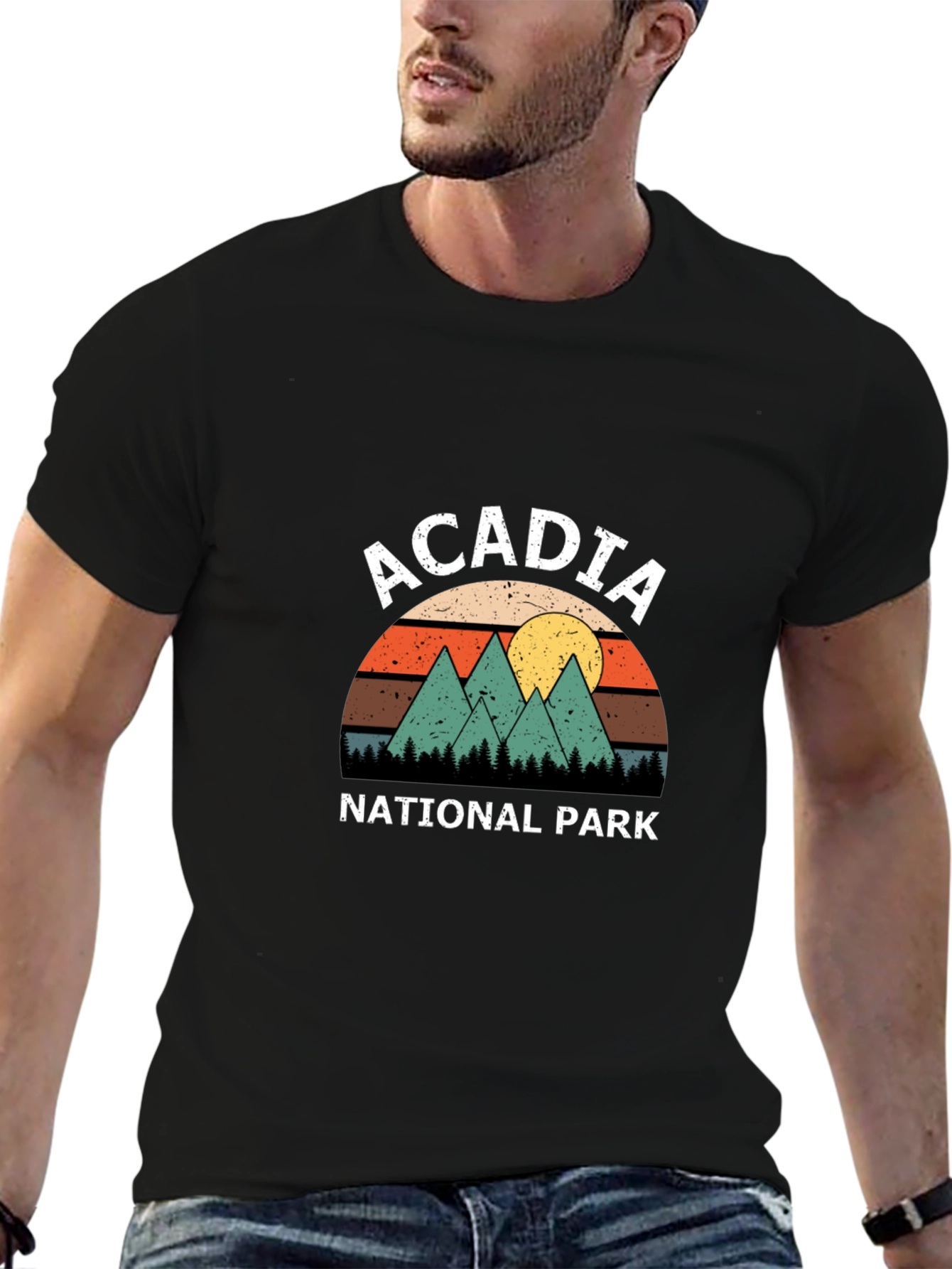 Acadia National Park Retro T-Shirt