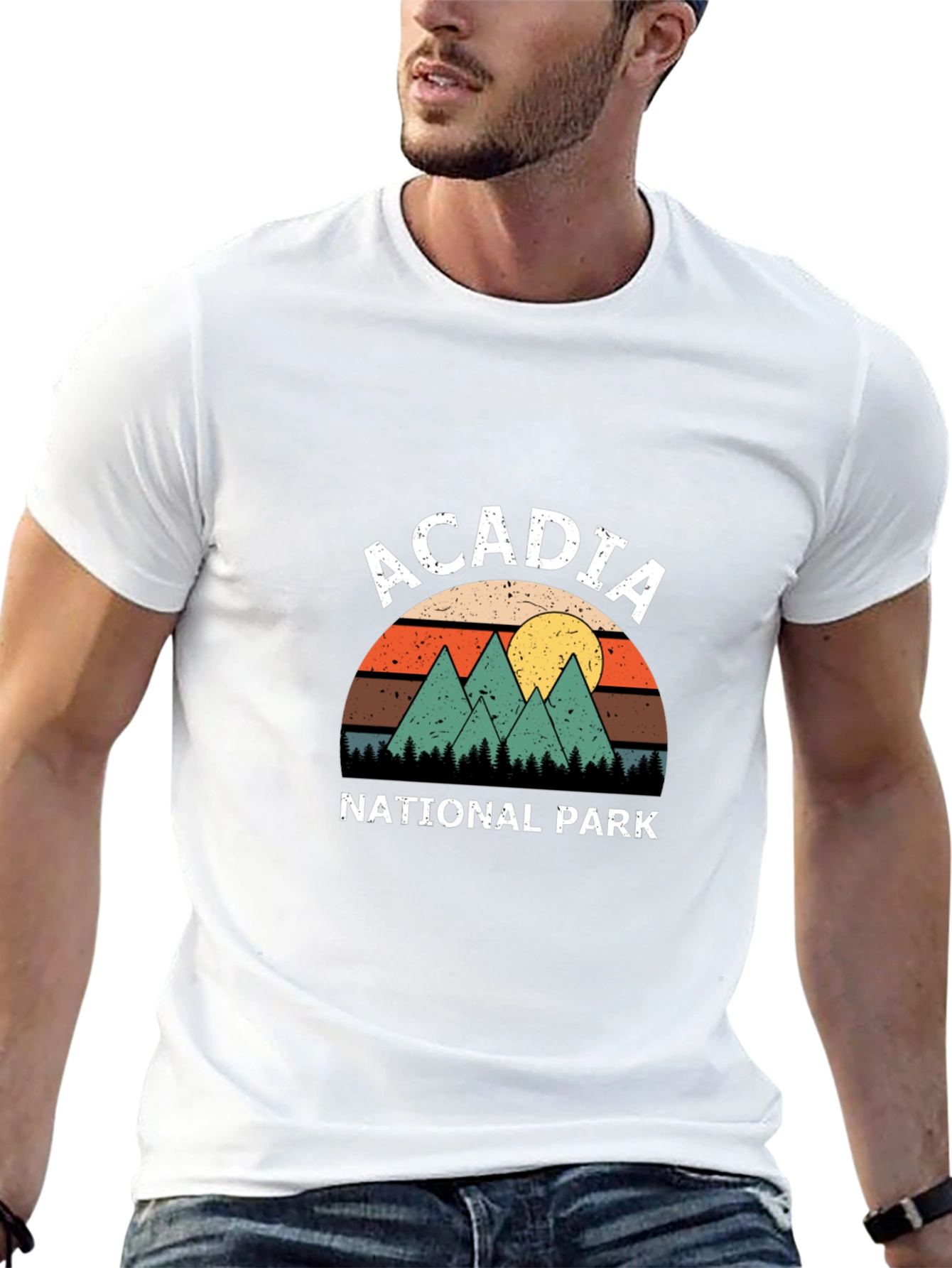 Acadia National Park Retro T-Shirt