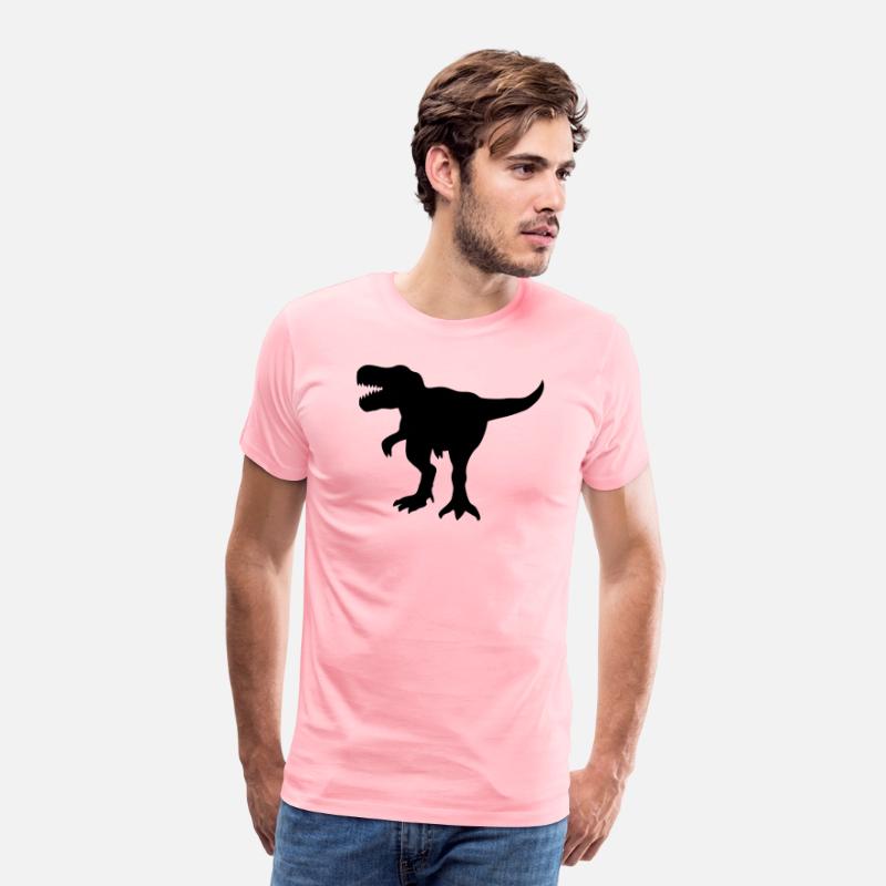 Dinosaur gift