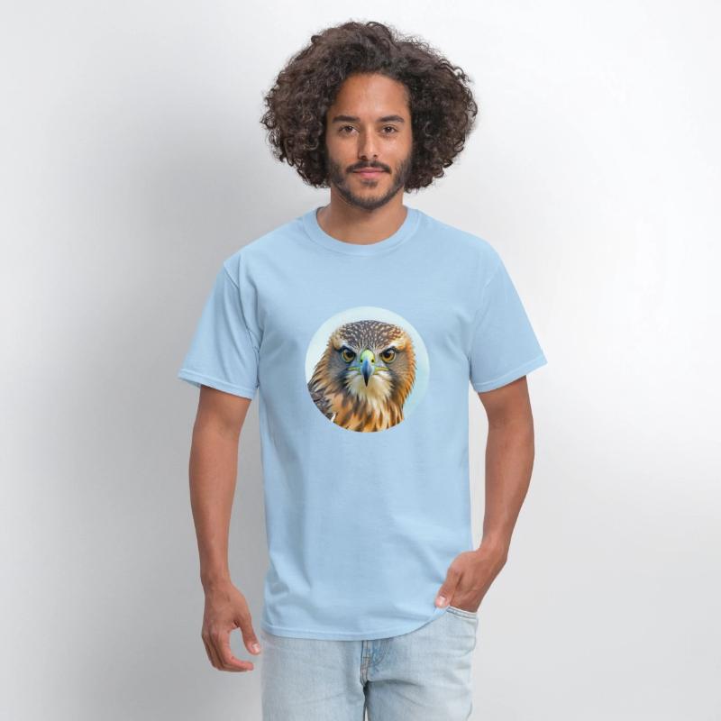 Hawk stare regal bird of prey birding bird watcher