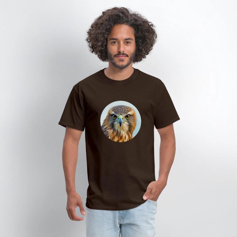 Hawk stare regal bird of prey birding bird watcher