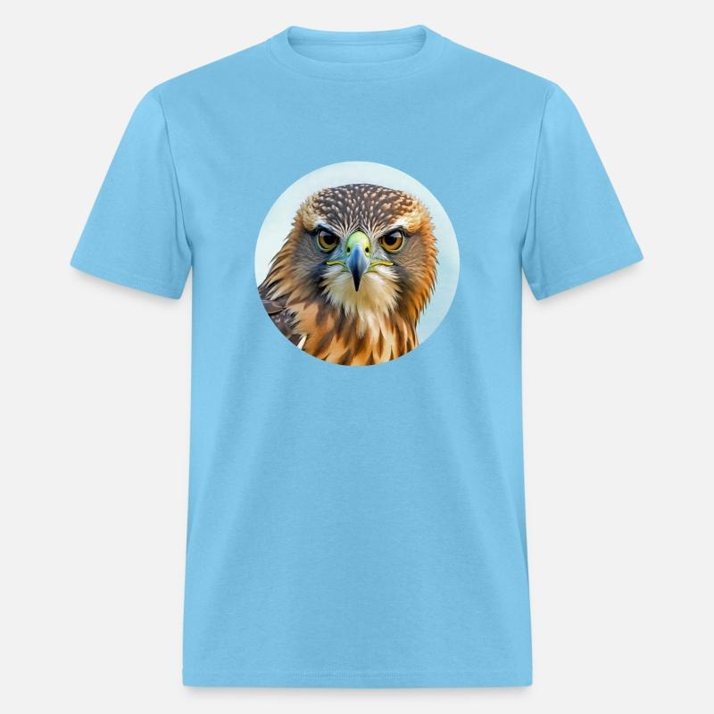 Hawk stare regal bird of prey birding bird watcher