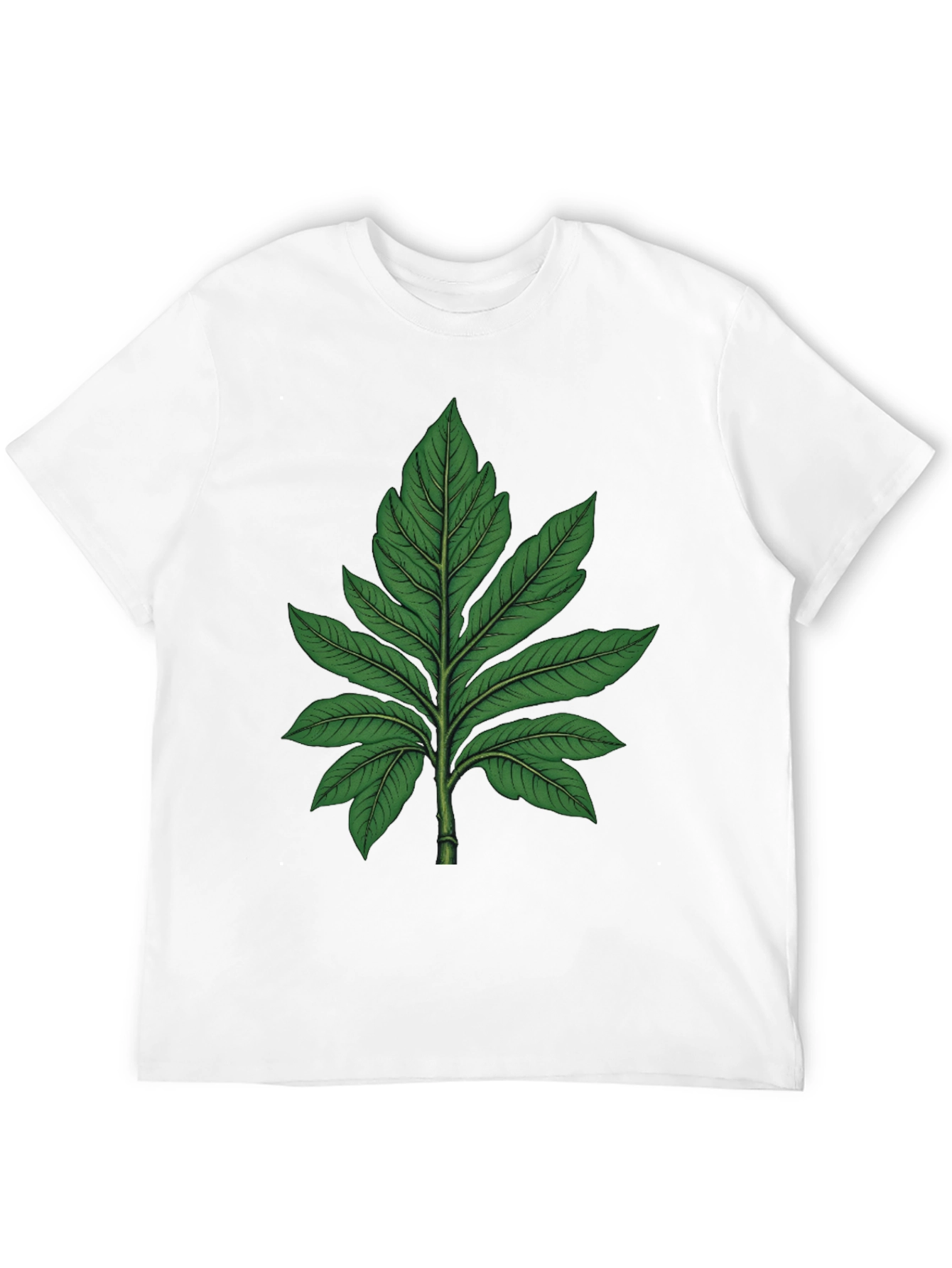 Botanical Leaf Graphic Tee - Black Cotton T-Shirt
