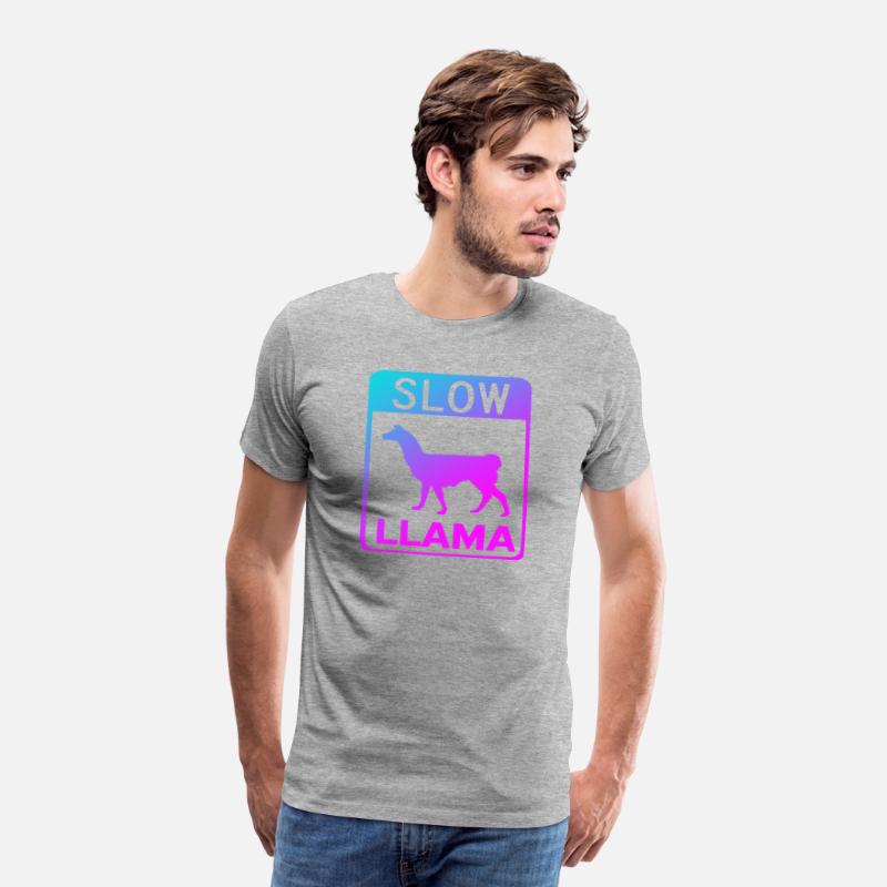 Phish Slow Llama