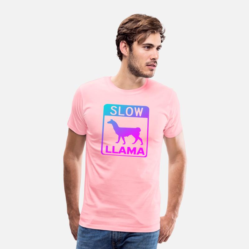 Phish Slow Llama