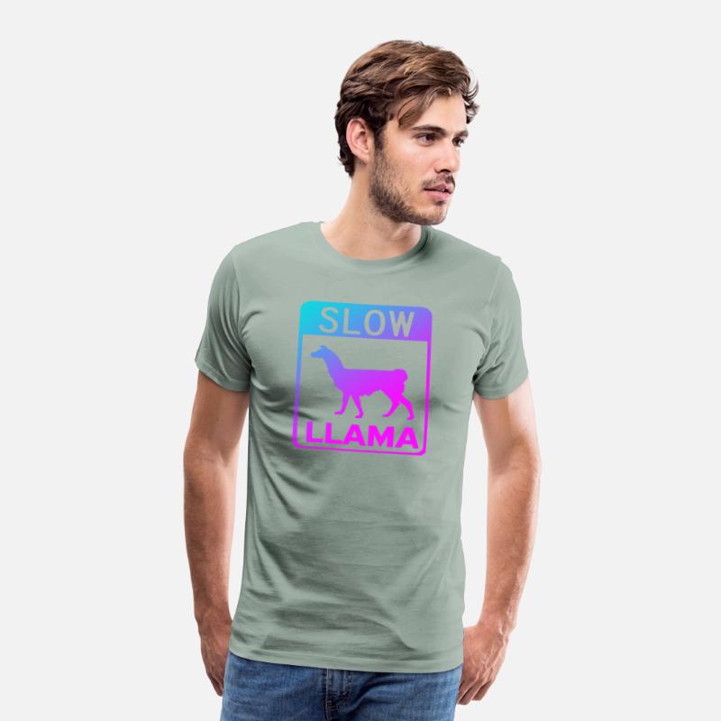 Phish Slow Llama