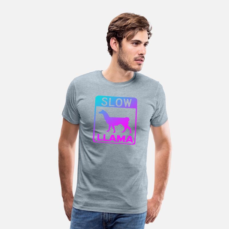 Phish Slow Llama
