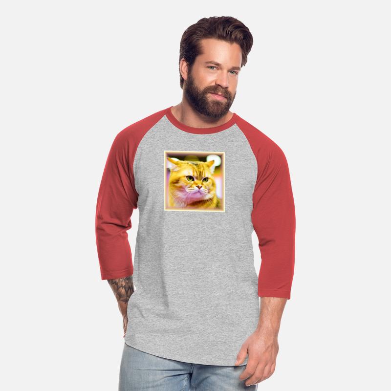 Photo of a Cute Cat in Staring Mode. Buy Now