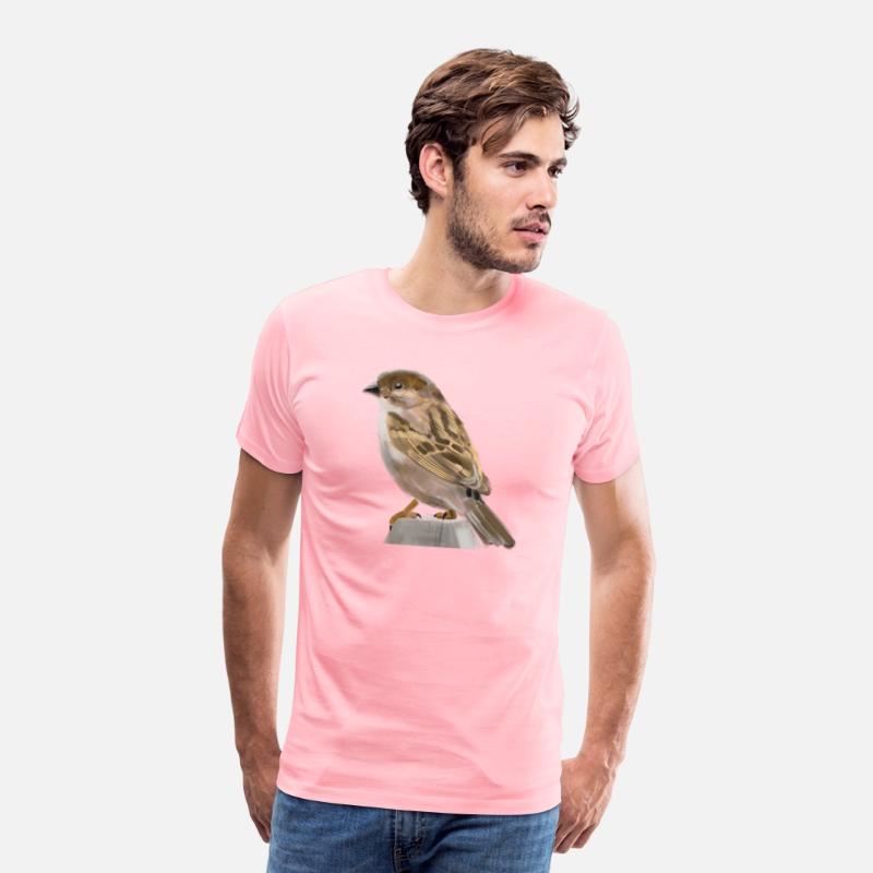 Sparrow