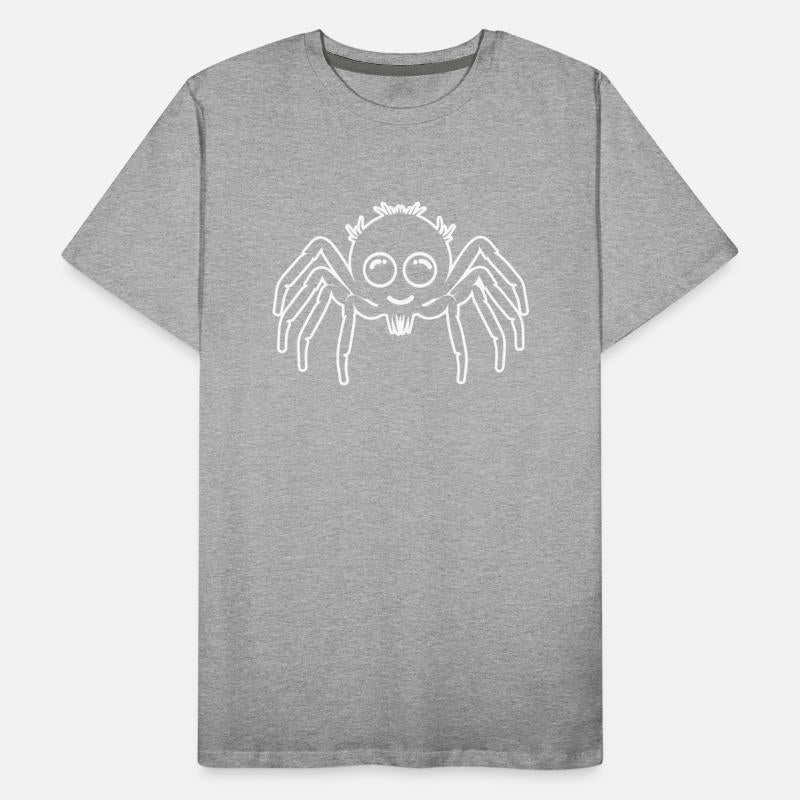 Spider Spiders