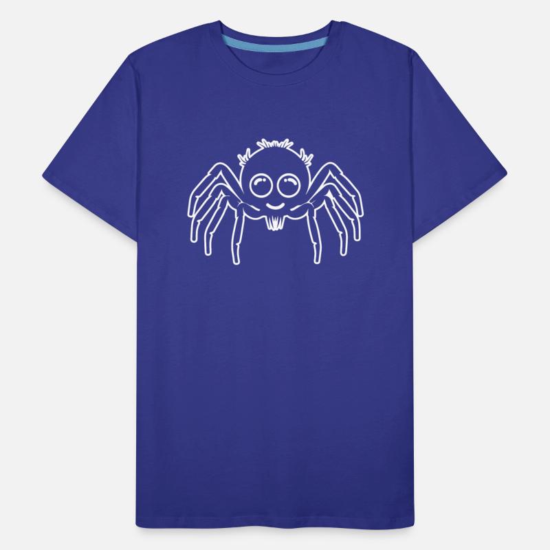 Spider Spiders