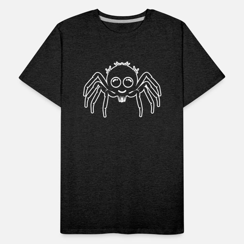 Spider Spiders