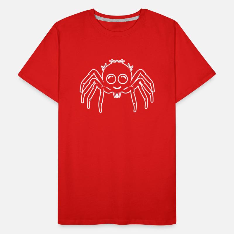 Spider Spiders